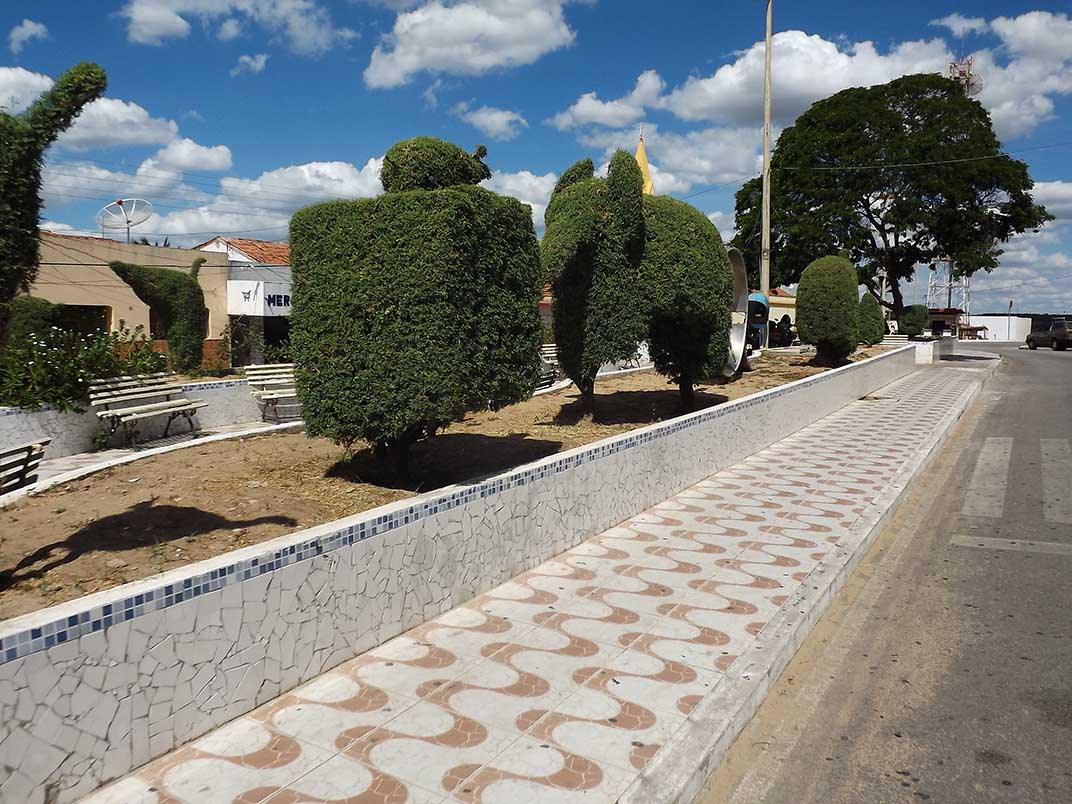 Jardins e passeio da praça central de Arara